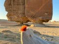 Al-Naslaa-35