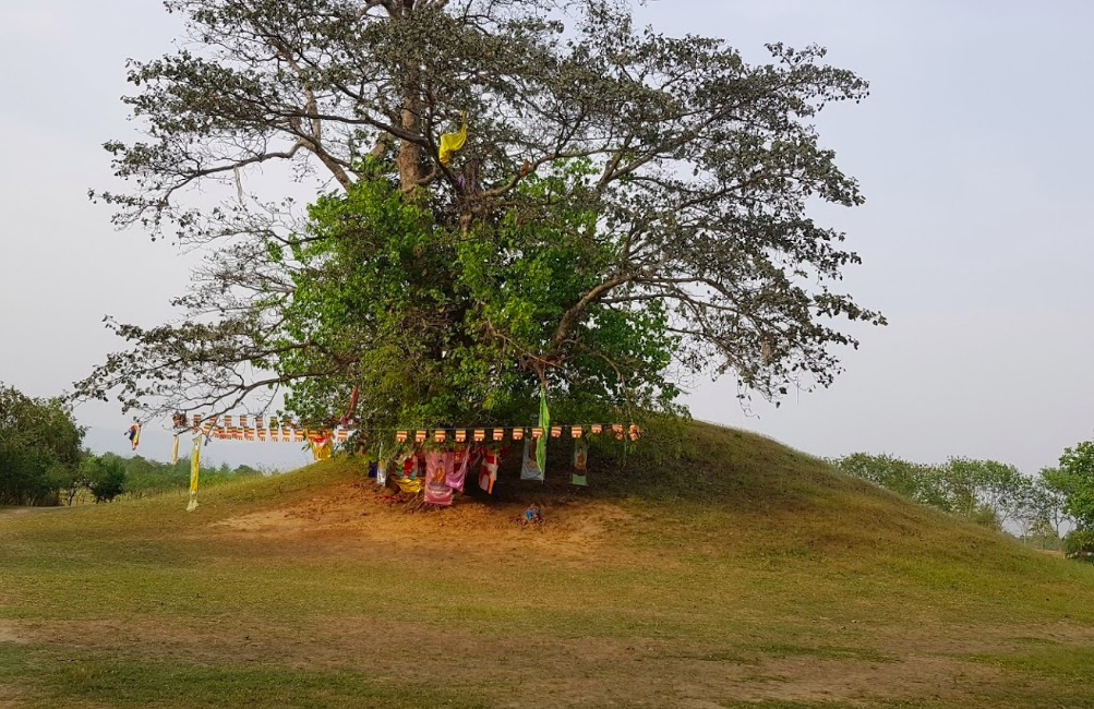 Ramagrama-Stupa-09