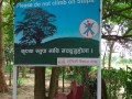 Ramagrama-Stupa-08