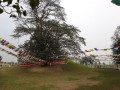 Ramagrama-Stupa-021