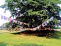 Ramagrama-Stupa-011