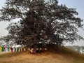 Ramagrama-Stupa-04
