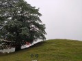 Ramagrama-Stupa-05