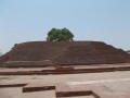 sujata-stupa-010