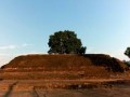 sujata-stupa-02