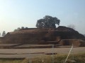 sujata-stupa-015