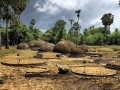 Kadurugoda-08