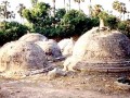 Kadurugoda-20