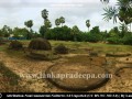 Kadurugoda-024