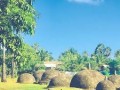 Kadurugoda-023