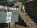 Mohra-Muradu-stupa-014