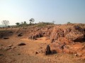 langudi-02