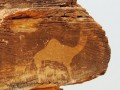 Al-Okhdood-08
