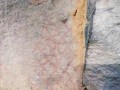Sacred-Chitwa-Dongri-043