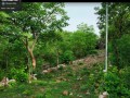 Sacred-Chitwa-Dongri-046