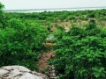 Sacred-Chitwa-Dongri-032