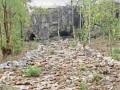 Sacred Chitwa Dongri, situated on the banks of Gondali reservoir near village Sahagaon in Daundilohara block