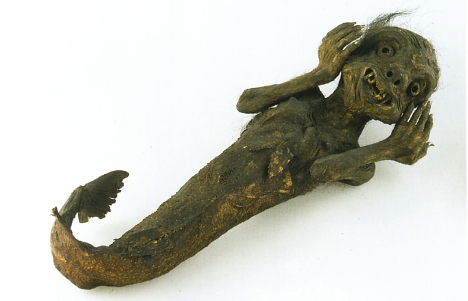 Mermaid mummy at the National Museum of Ethnology, Leiden (Edo period)