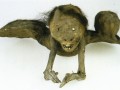 Kappa mummy at the National Museum of Ethnology, Leiden (Netherlands)