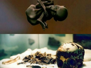 Ташвинатская чёрная мумия Ван Мухуггиаг