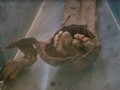400-28434