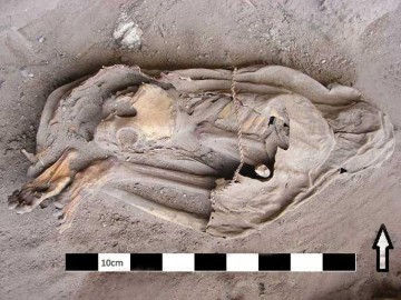 Древняя мумия Тули