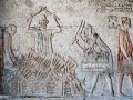 Tomb of Petosiris