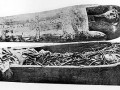 Amenhotep_wikipedia_file