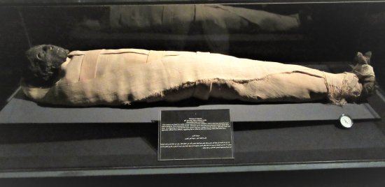 mummy-of-king-ahmose