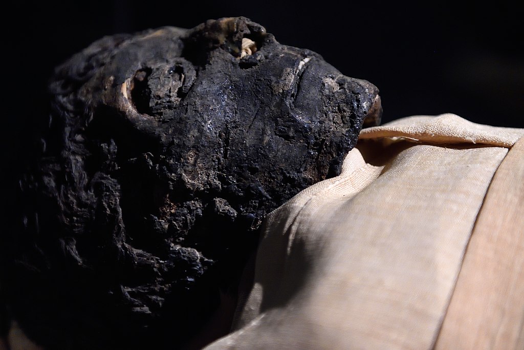 Ahmose_Mummy_at_Luxor_Museum_in_Luxor_Egypt