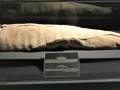 mummy-of-king-ahmose