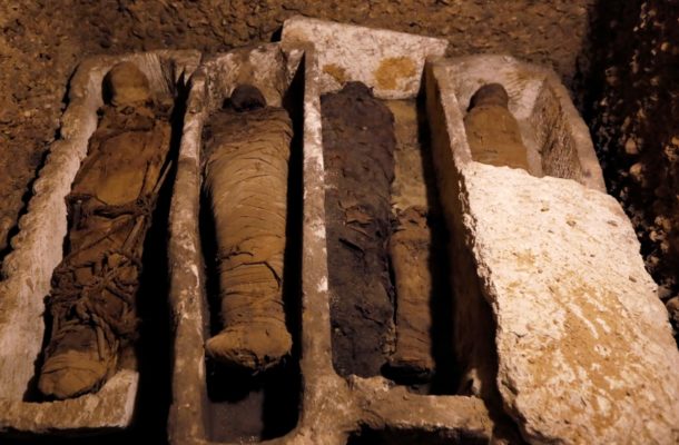 40 mummies egypt 2000