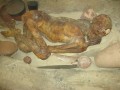 Gebelein Man (Ginger)
