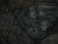 239-234-30403