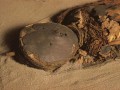 chinchorro-mummies-02
