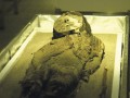 chinchorro-mummies-014