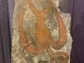 Rapa-Nui-Museum-012