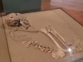 Archeology-Museum-UNT-034