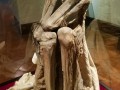 Archeology-Museum-UNT-023