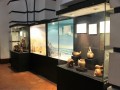 Archeology-Museum-UNT-017