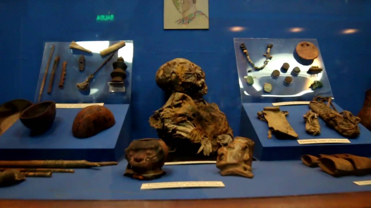 Museo-Arqueologico-Universidad-011