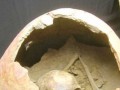 Museo-Arqueologico-Universidad-012