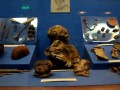 Museo-Arqueologico-Universidad-011