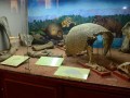 Museo-Arqueologico-Universidad-03