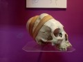 Museo-Arqueologico-Universidad-09