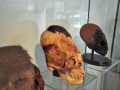 paracas-history-museum-014