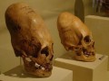 paracas-history-museum-06