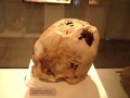 paracas-history-museum-018