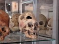 paracas-history-museum-011