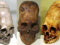 paracas-history-museum-09
